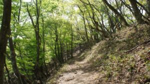 遠足尾根登山道