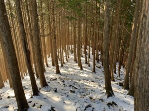 竜ヶ岳登山