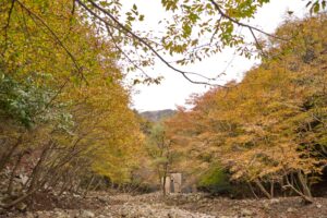 竜ヶ岳登山
