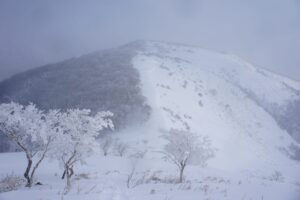 竜ヶ岳