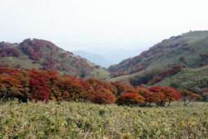 竜ヶ岳登山