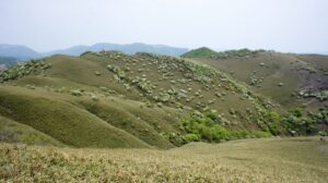 竜ヶ岳登山