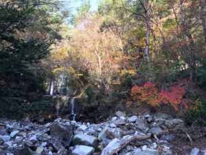 竜ヶ岳登山
