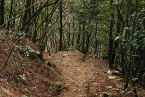 竜ヶ岳登山